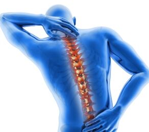 Elementos da columna vertebral
